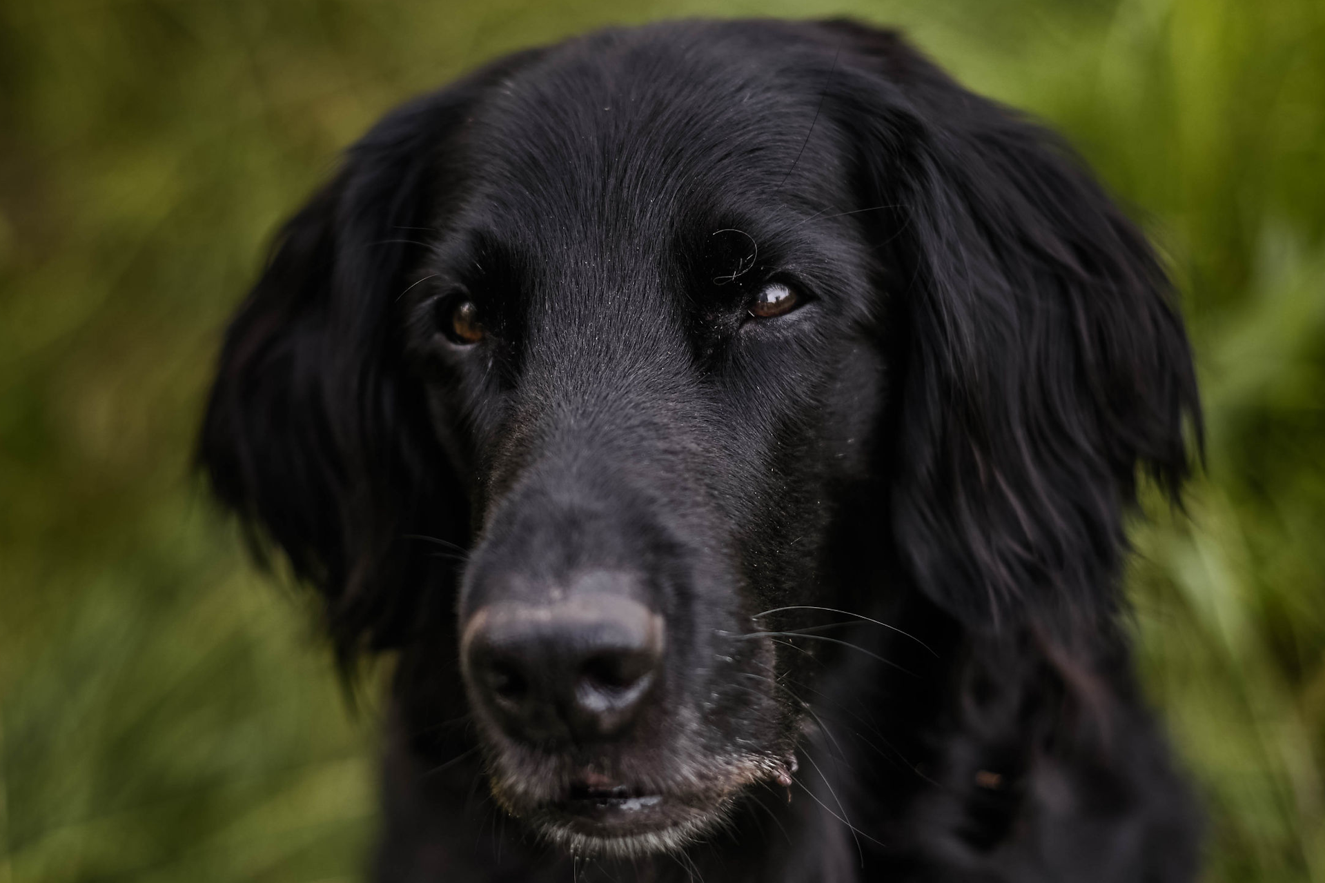 77B9B96E E375 42D4 9E11 291C5C139956Familie Peter 103 2