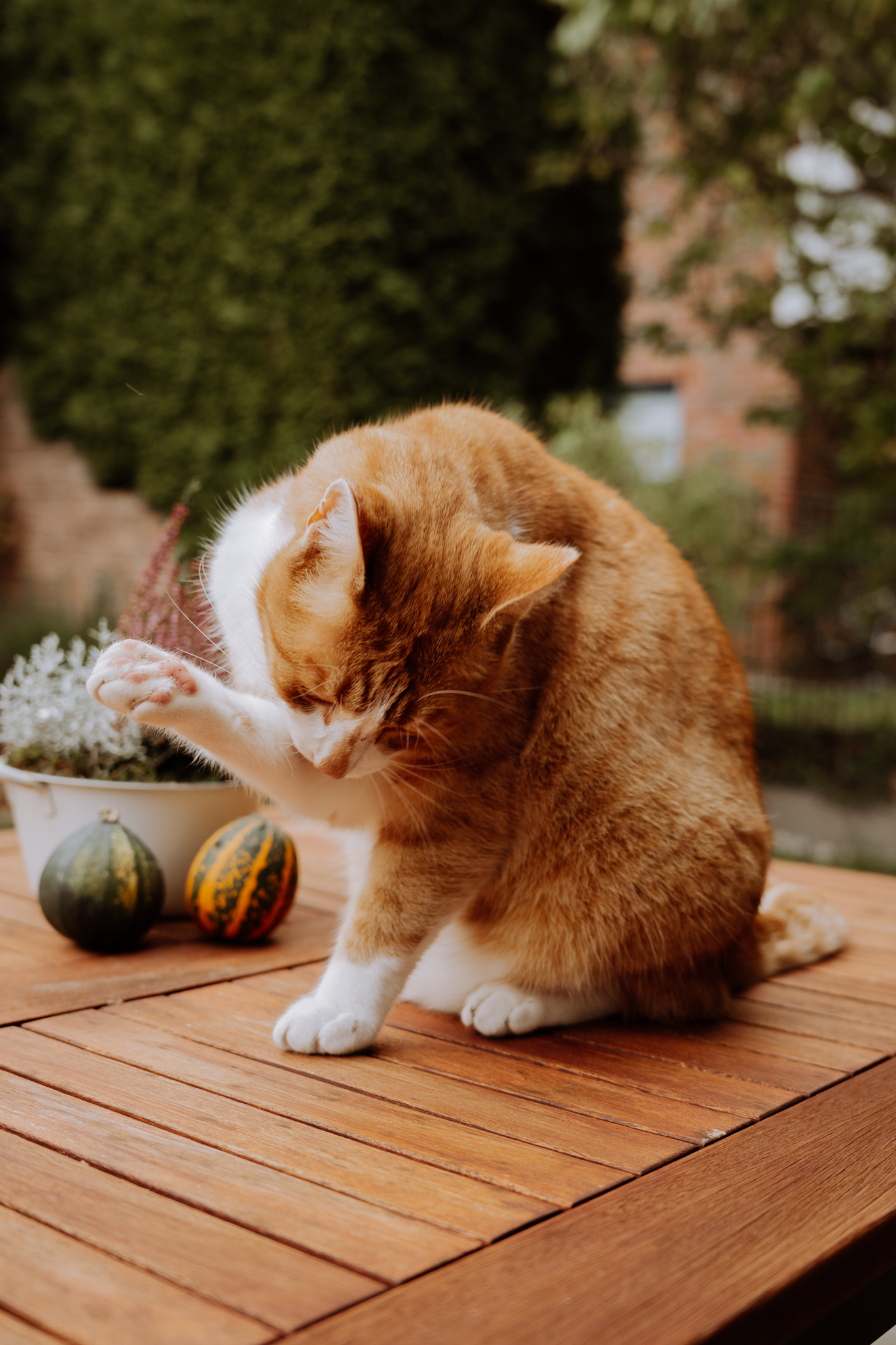 DSC03420bearbeitet hochformat