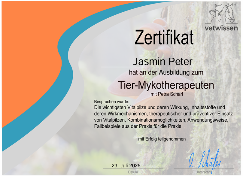 Zertifikat Mykotherapeut